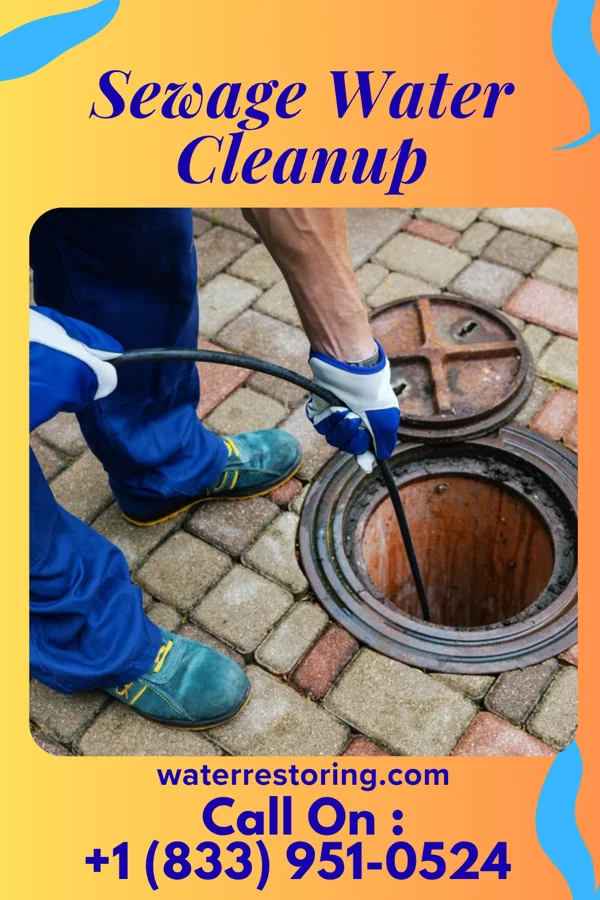 Sewage Water Cleanup in Reed, AR